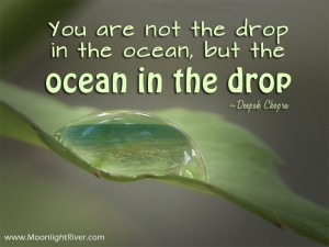 17-_ocean_in_the_drop
