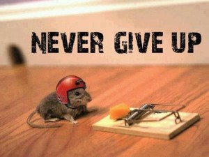 nevergive up