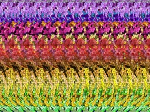 Magic-eyes-camel16383697-784-586
