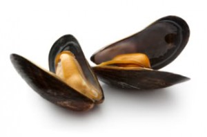 mussels