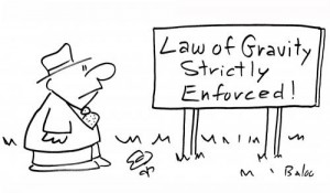 law-of-gravity-enforced