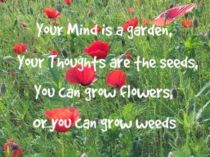 Your mind is a garden