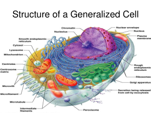 cell