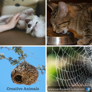 Creative Animals