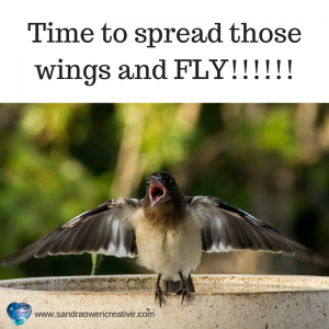 There is a time to just spread your wings and FLY!!!!!!